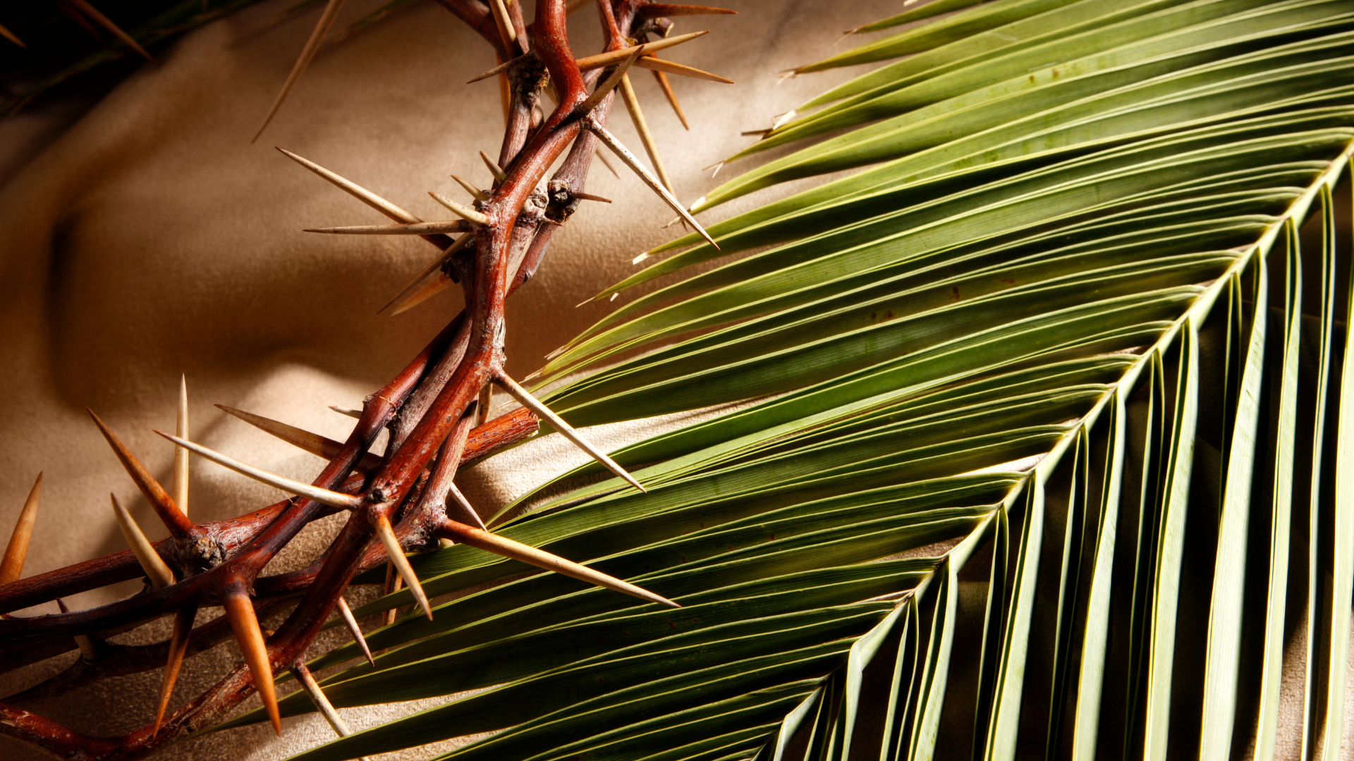 Palm Sunday